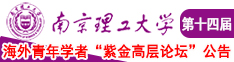 大鸡巴网站视频免费观看南京理工大学第十四届海外青年学者紫金论坛诚邀海内外英才！